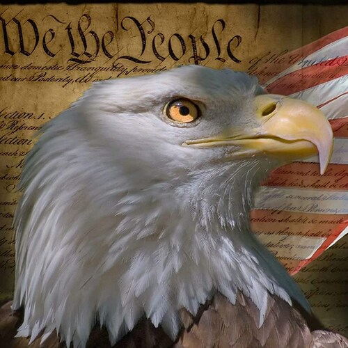 Patriotic Christian believer in the American Constitution & the founding principles of the GOD given rights of people cr...