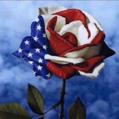 Mom, Grammy, Wife, Sister, Friend, JESUS is My Savior & TRUMP is My President 👼❤️🇺🇸 I can do ALL THINGS  through Christ who STRENGTHENS ME Phil. 4:13