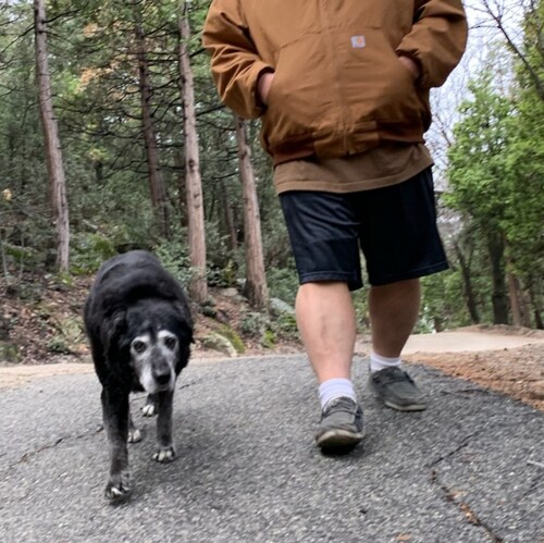 Fight Global Axis of Elites -- Collusion and Coerosion of The Swamp,  Big Tech, Wall Street, Coorperate Media and CCP.