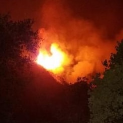 Happily Married. Sole proprietor business owner in CA love Trump and love my money don't f*** with me 😎