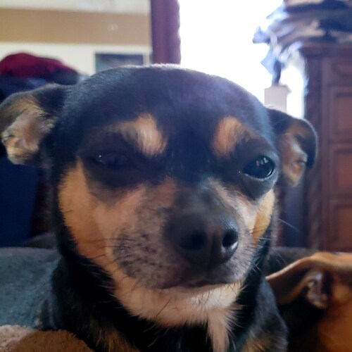 Just a regular American dude