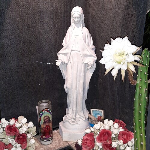 I'm the youngest daughter of a  WWll veteran, and my mother was a Rosie Riveter during that time. I take a knee for GOD ...