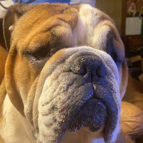 Christian first. American second. Raised a Conservative Patriot. Policeman / Constable / Ancient History Teacher - FB Co...