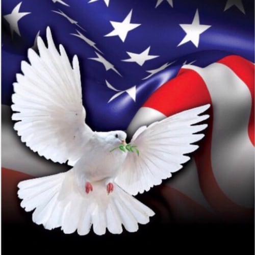 🇺🇸 DJT won the 2020 election! 🇺🇸 I am here for our actual president Donald Trump! Banned from Twitter because I beli...