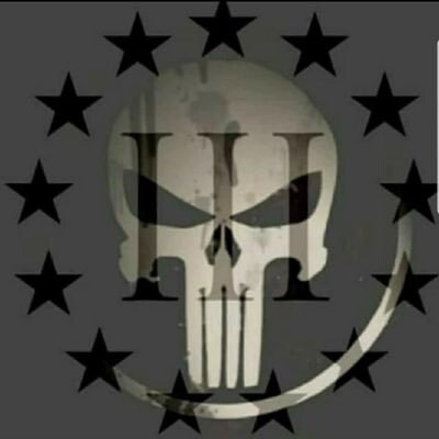 ▪️✝️GodWins▪️⭐Patriot▪️🇺🇸USA▪️👨🏼‍💻17▪️🔫2A▶️1A▪️🥁Truth▪️🛠Small Business Owner▪️⚔For my family▪️📢#SaveTheChildren...