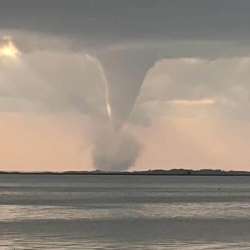 Canadian Trumper #LetsGoBrandon #TruckFudeau #Wexit. #Twexit