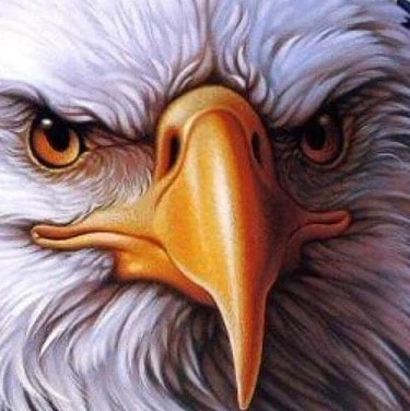 Christian;
Patriot;
Husband; Father; Grandfather;
Former Div III Football A-A; Retired PE, PMP;
Writer; Guitar Picker;
S...