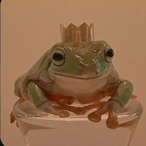 praying on my own downfall