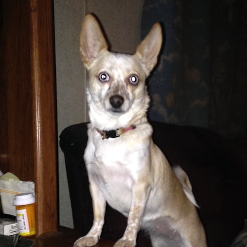 Wife ,Mother and best of all Grammy <3 !!