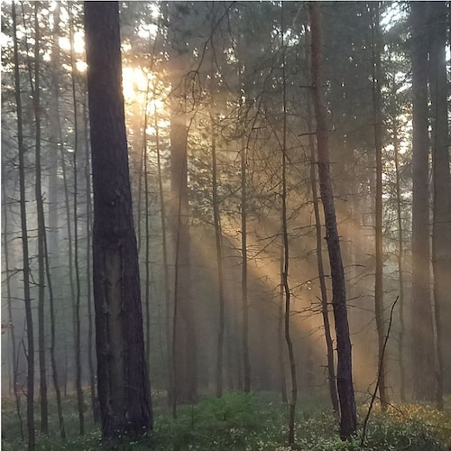 Gesundheit ist ein Zustand des vollst. körperlichen, geistigen und sozialen Wohlbefindens und nicht nur die Abwesenheit ...