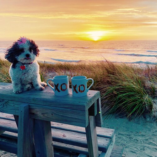 “Truth is like the sun, you can shut it out for a while but it ain’t going away”
Elvis Presley

Not afraid to speak up f...