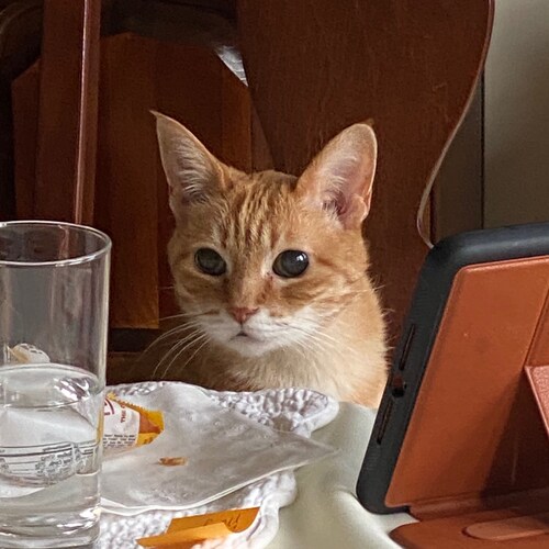 listening and learning