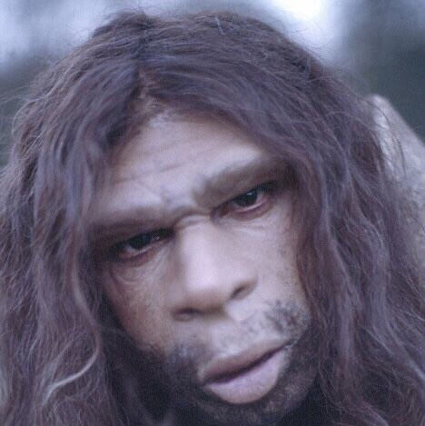 an every day Neanderthal