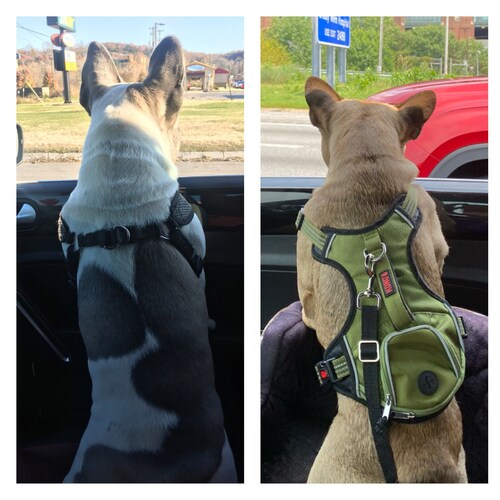 Conservative Hispanic