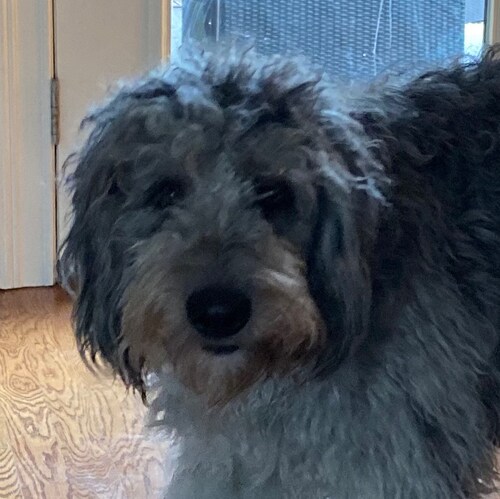 God fearing American