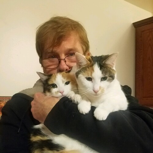 Seek First The Kingdom of God