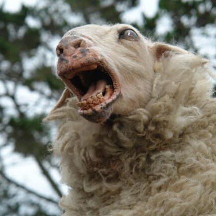 Takeactionkamloops.com