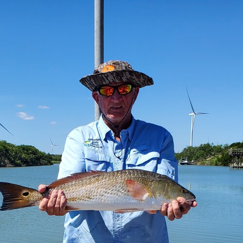 🇺🇸Vet, LEO👮‍♂️, conservative to the max PRO LIVE. Over turn Roe V Wade NOW