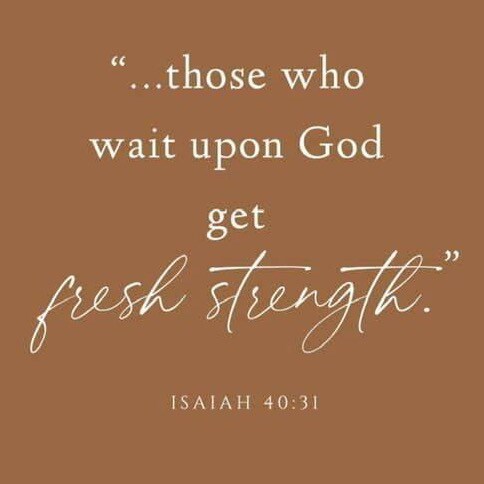5th Gen Tx native, mom, Conservative, Christian, baseball fan, believer in God, family and the Constitution