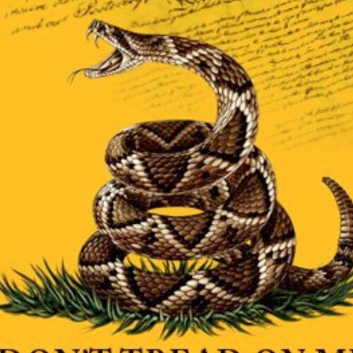 MEGA MAGA 🇺🇸‼️
Liberty or Death
Trump Won_Biden Cheated 
Let’s take our country back!