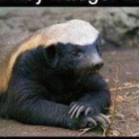 Kicked off twatter 7 times.❤️news, good fights & honest conversations & many other fields. I don’t suffer liars and fool...