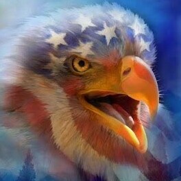 common sense, truth loving patriot! God bless America 🇺🇸 and God bless all American patriots who love our country and constitution!