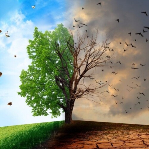 'Information alternative dans le respect et la bienveillance. 
L' info sans langue de bois. Pensez par vous-mêmes ayez l'esprit critique !
Bienvenue à Vous