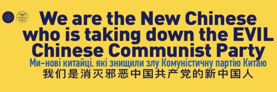 +0是条鱼