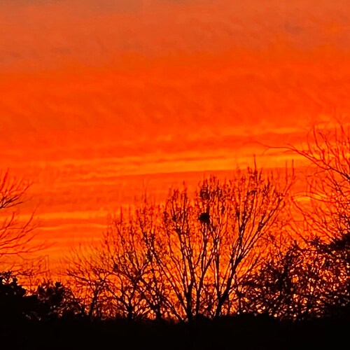 I miss the real America. I’m tired of double standards. Refugee of CT, NY, and worst of all MA. I don’t message. God ble...