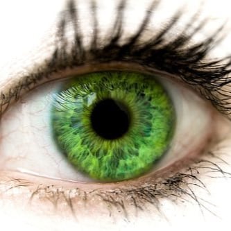 DONALD J TRUMP IS MY PRESIDENT.... WWG1WGA.... #FIGHT LIKE A FLYNN ...TWITTER ACCOUNT SUSPENDED SAME DAY AS   DJT