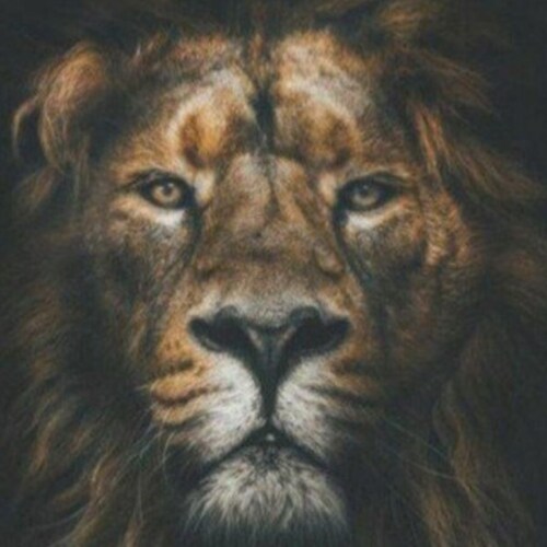 The Lord is my Shepherd, Proud Patriot, Lover of Liberty, Truth Seeker