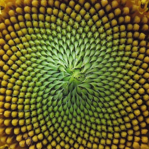 I trade stocks, options, and crypto assets.