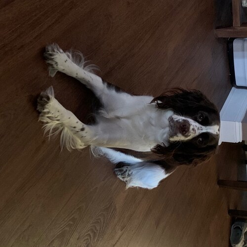 @mtg4america Begging twitter to reinstate your account is beneath you. I never went to your page there because of...