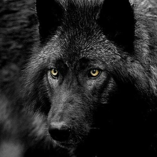 "Das Mutigste, was man tun kann, ist eigenständiges Denken. Und zwar lautstark." (Coco Chanel)