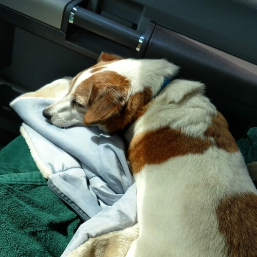 Visit duke4545's profile on GETTR. View their posts, photos, videos, and connect with them on the social platform.