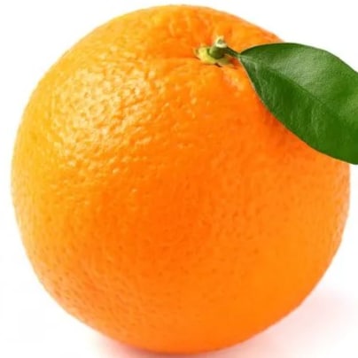 Visit RickyRicardo's profile on GETTR. View their posts, photos, videos, and connect with them on the social platform.