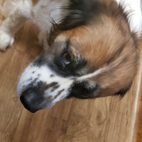 2A conservative, business owner, husband, father, motorcycle enthusiast, hater of bullshit, and will call it out. Well-i...