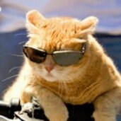 Legal immigrant to the USA. The 1st thing I learned when arriving was that Capitalism was no longer just a word I learne...