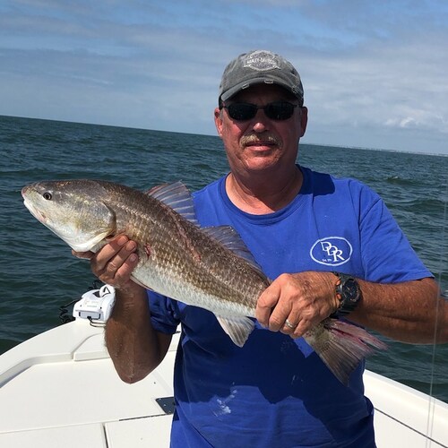 Christian, father, grandfather, pro 2A.