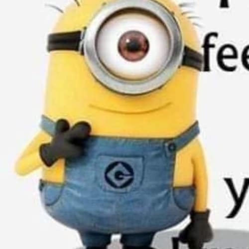 Banned off Twitter!
love my wife, kids, God, Harley, Jeep and country. politically incorrect! American AF
I follow patri...