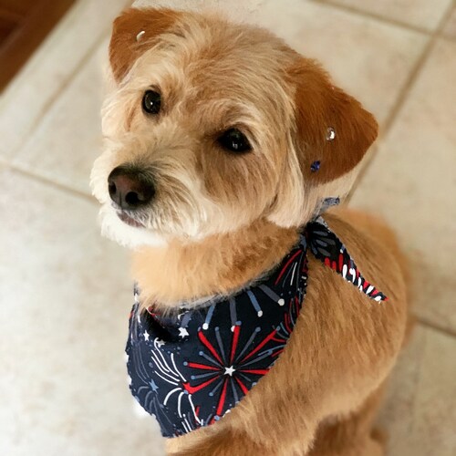 An unapologetic American