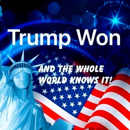 Patriot, US Navy veteran, conservative, self employed, know Trump won, covid19 is a result of gain of function research....