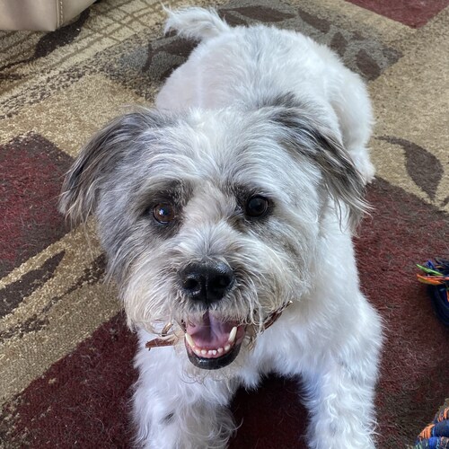 ULTRA MAGA since 2016. Defeat Ministry of Truth. Keep sexual identity/orientation teachings out of classrooms. Jesus Chr...