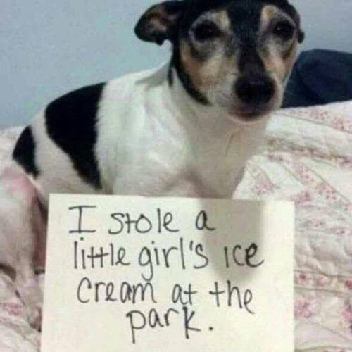 Visit indianachick🍊's profile on GETTR. View their posts, photos, videos, and connect with them on the social platform.