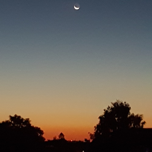 A proud  American, pro Constitutional Republic, pro life and family with faith in American's greatness.