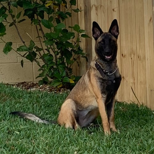 Supporter of our constitution. Retired Sears underwear model. Hobbies include throwing commies out of helicopters!