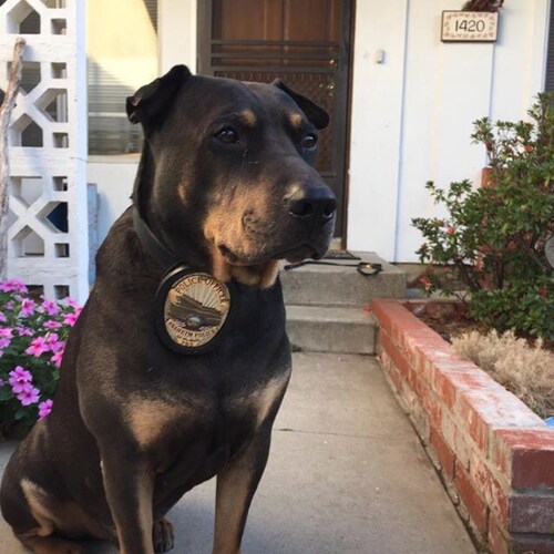 Visit j1way's profile on GETTR. View their posts, photos, videos, and connect with them on the social platform.