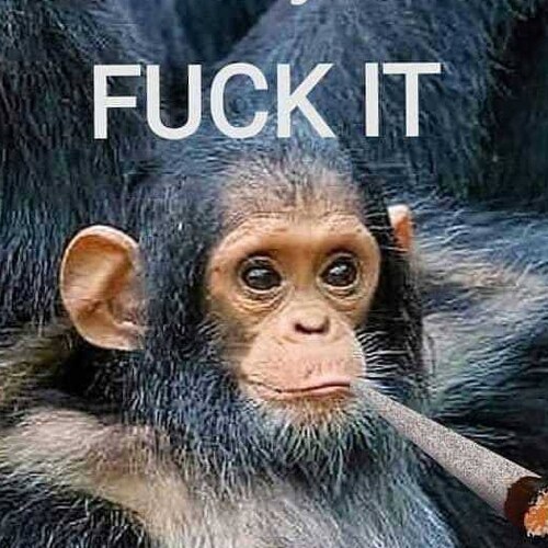 Just a plain ordinary guy, father and grandfather. Conservative who loves our country and our freedoms. Back the Blue. T...