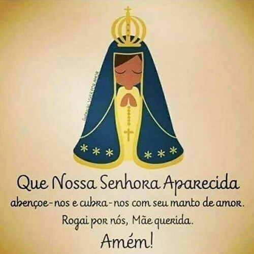 Direita com Bolsonaro