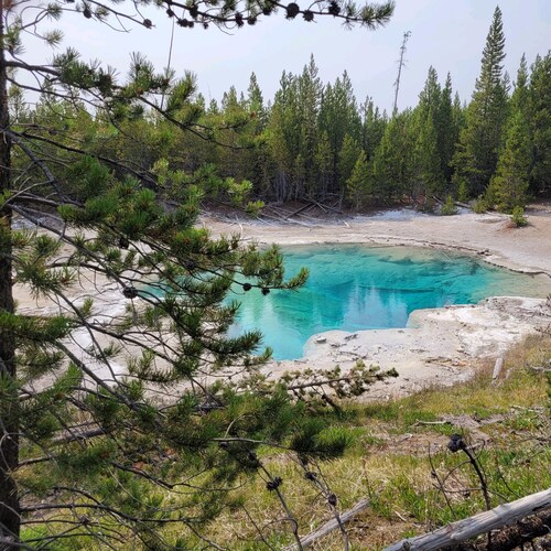 Purveyor of vintage trumphery